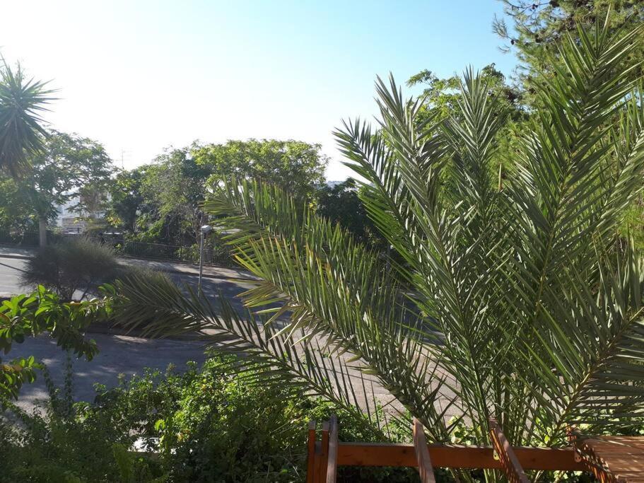 Oded Inviting Housing Apartment Yerusalem Bagian luar foto